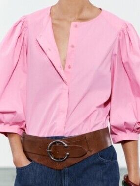 Zara Balloon Sleeve Top